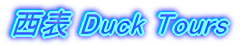 ���\Duck Tours
